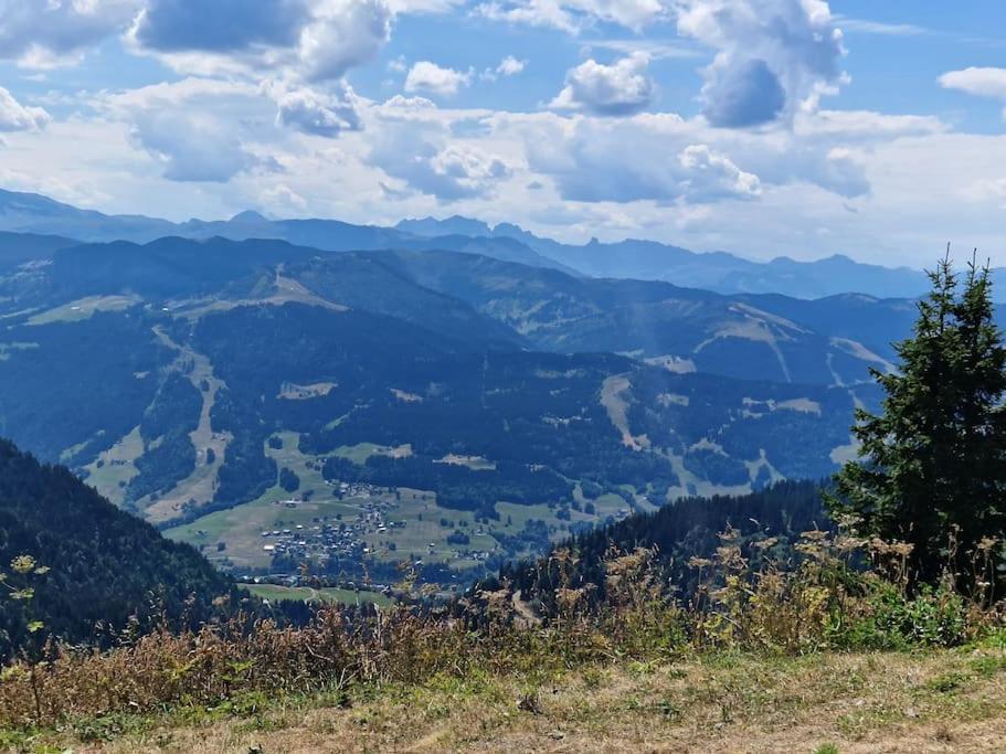 Appartement La Duchere Le Plan-La Giettaz Massif Des Aravis Bagian luar foto