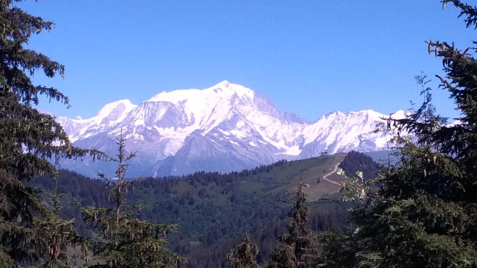 Appartement La Duchere Le Plan-La Giettaz Massif Des Aravis Bagian luar foto