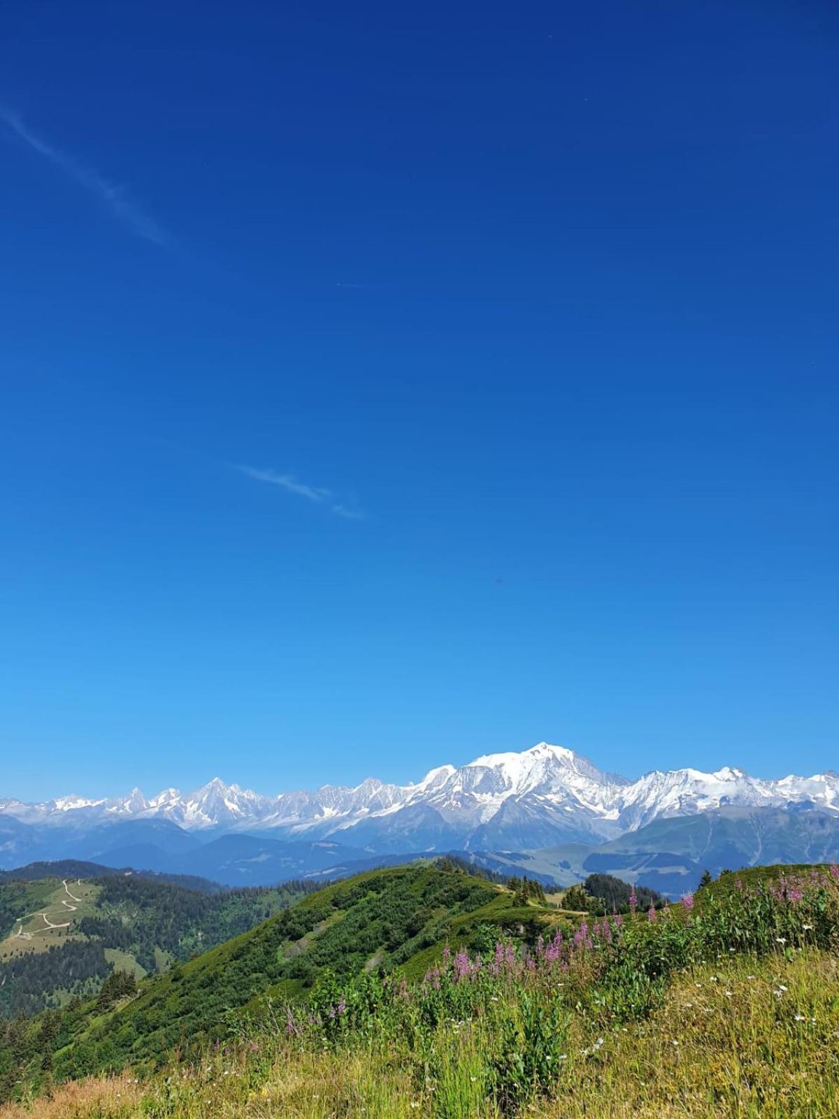 Appartement La Duchere Le Plan-La Giettaz Massif Des Aravis Bagian luar foto