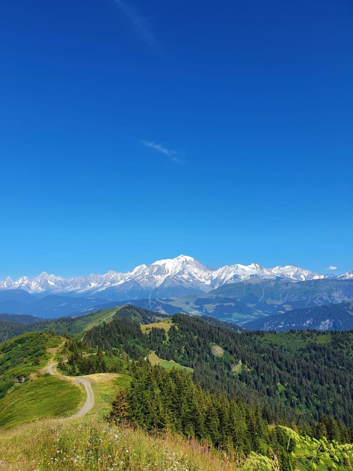 Appartement La Duchere Le Plan-La Giettaz Massif Des Aravis Bagian luar foto