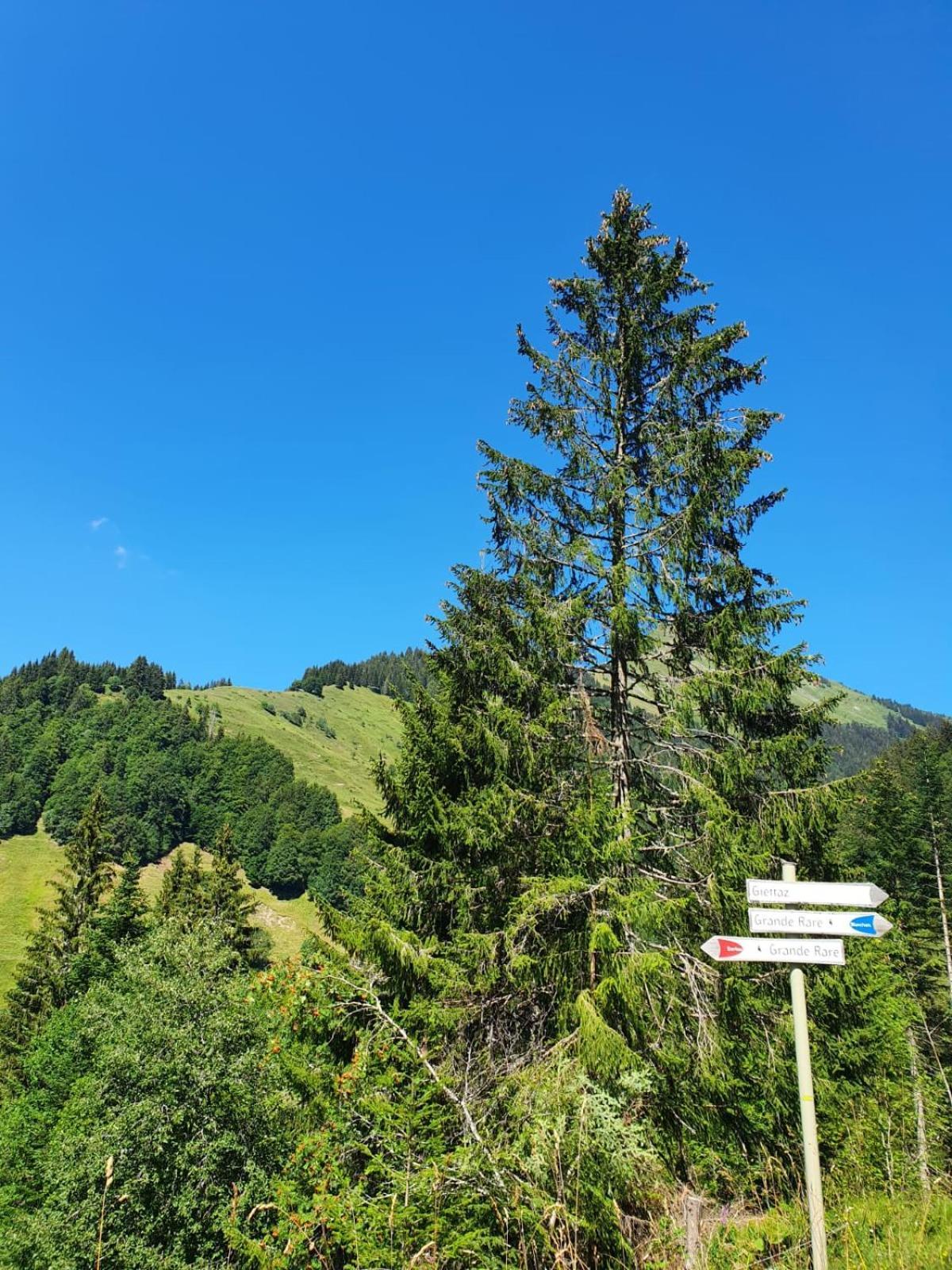 Appartement La Duchere Le Plan-La Giettaz Massif Des Aravis Bagian luar foto