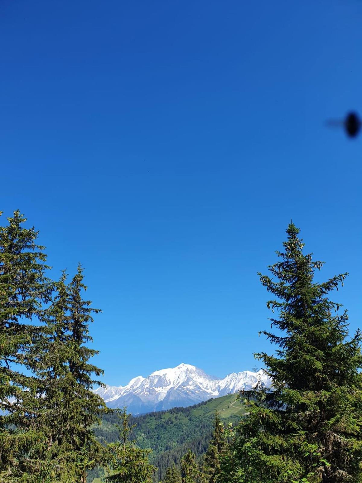 Appartement La Duchere Le Plan-La Giettaz Massif Des Aravis Bagian luar foto