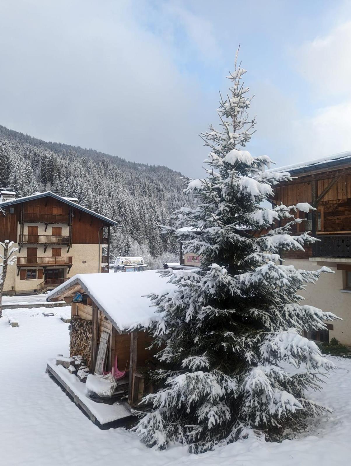 Appartement La Duchere Le Plan-La Giettaz Massif Des Aravis Bagian luar foto